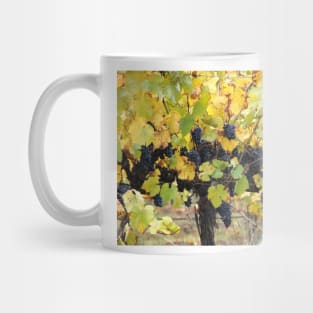 Fruity - Magpie Springs - Adelaide Hills - Fleurieu Peninsula by South Australian artist Avril Thomas Mug